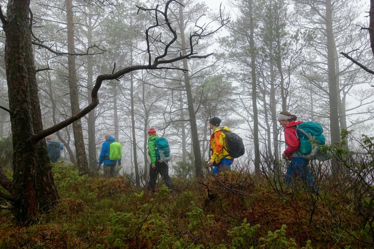 DSC00787.jpg?resize=768,512