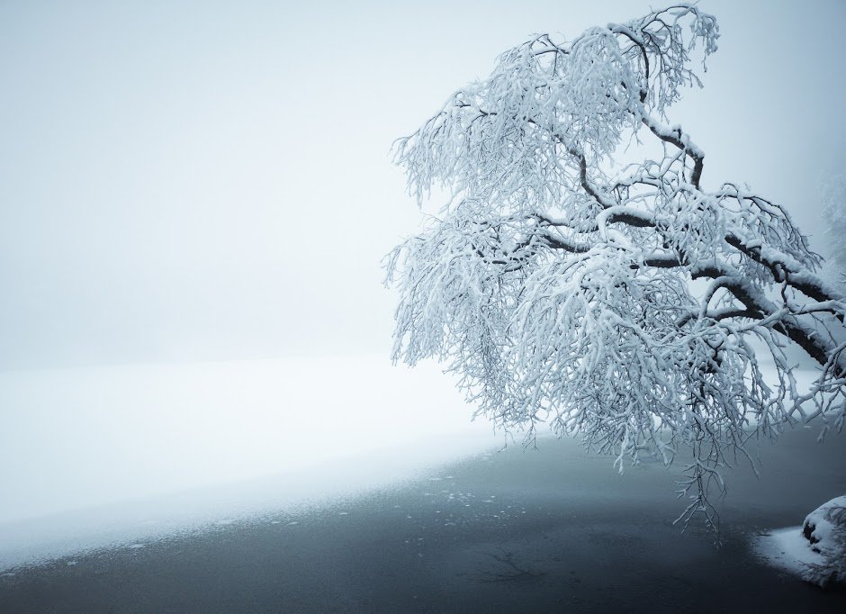 TFd0AAfn1sNZoNu0LIo_Pr5-tJ0CkrcOiIGfdJPR