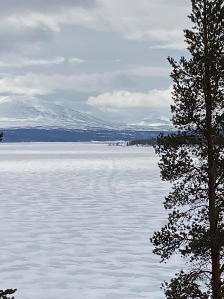 97744243_10158788512974434_7350700767482