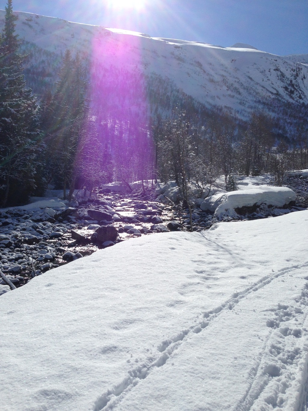 02ED16DF-CD1E-4771-8D94-CB1CECCFD172_zps