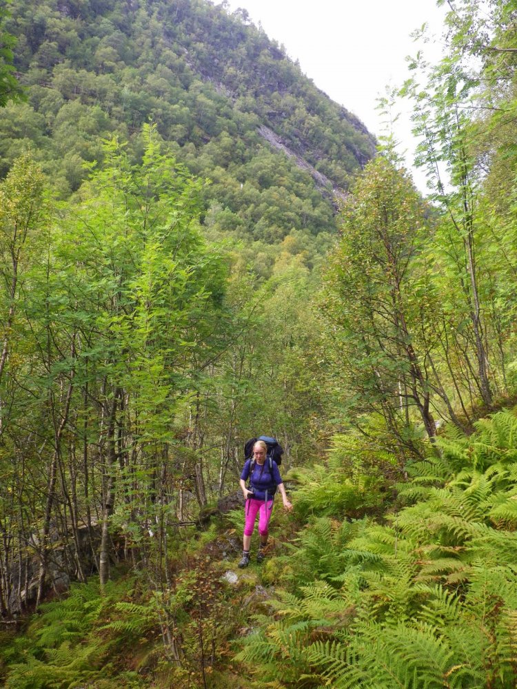 Kvistdalen%2B5-7%2BSeptember%2B2014%2B08