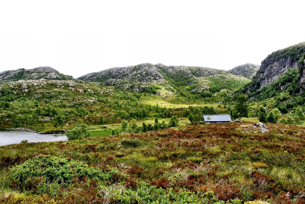 IMG_1541.jpg?resize=1024%2C685