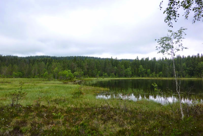 04_Tjern_uten_navn_nedenfor_Flaataseter.