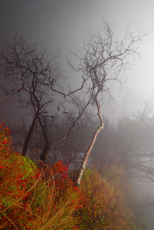 Landscapes_in_mist_Hattefjell_151031_11.