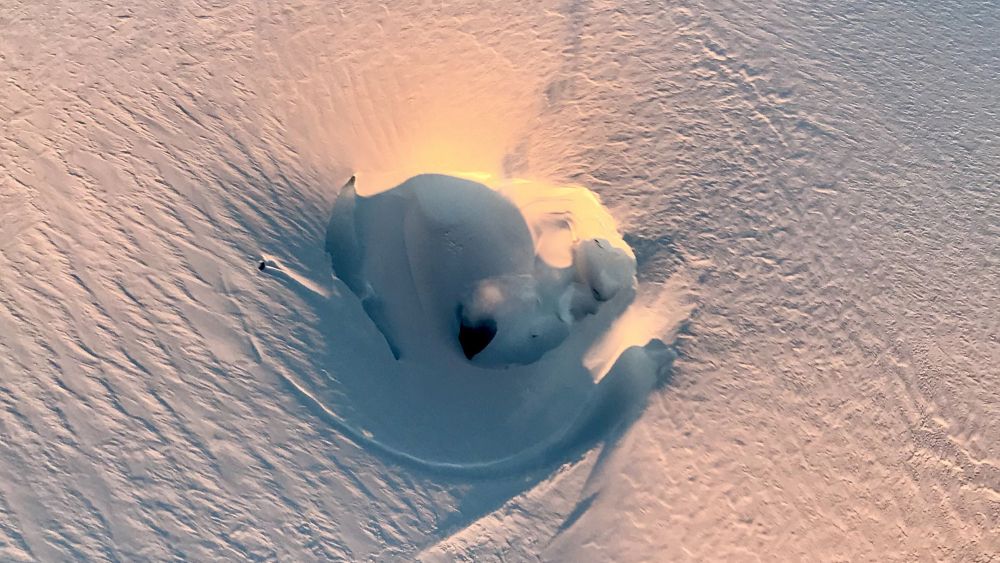 fr_20171216_076037.jpg?itok=mm_XSY9G&tim