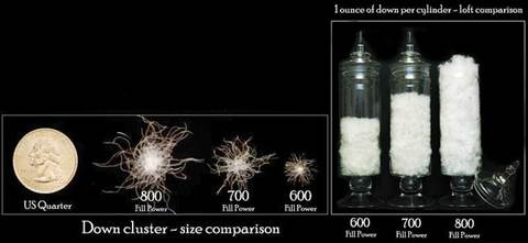 fill-power_large.jpg?v=1478015015