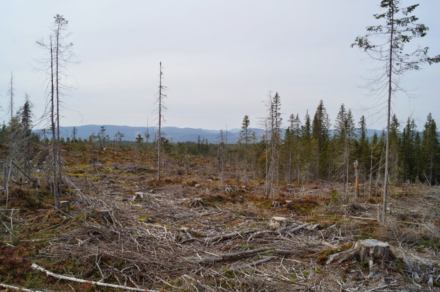 Jotunheimstien%2Bdel%2B2.%2BBrovoll-Lygn