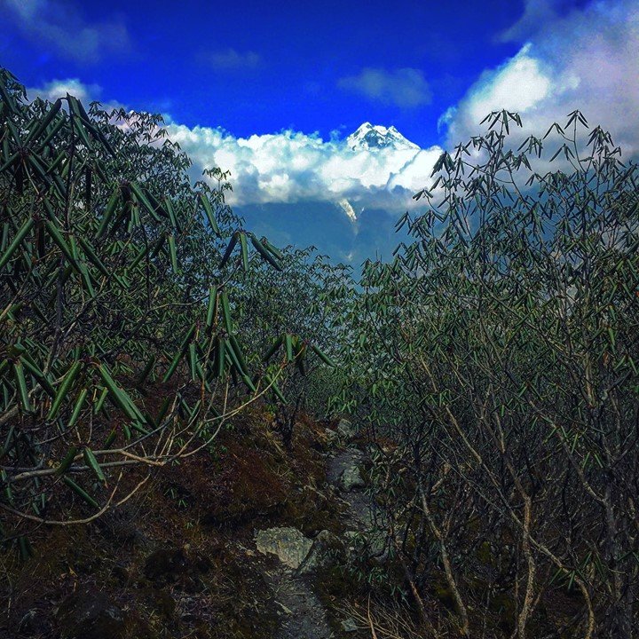 30740329_2041952002514134_70645518398568