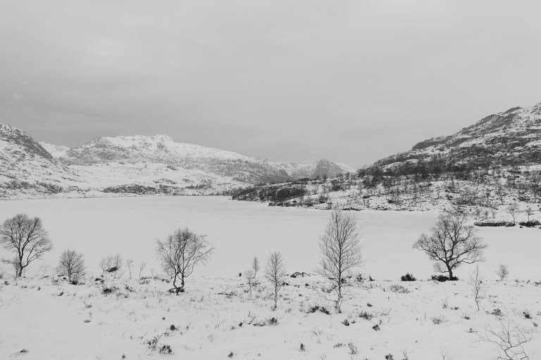 DSC00530.jpg?resize=768,512