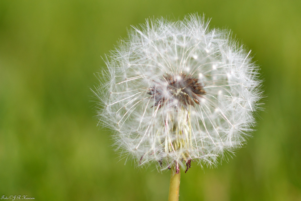 1006309_large_C52D8858-E72D-11E3-80B6-D9