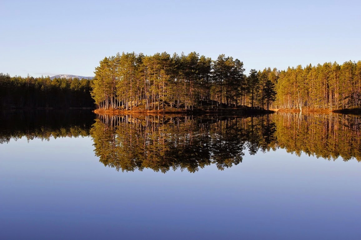 1037099_large_56D5DB22-729A-11E5-BCB2-CD