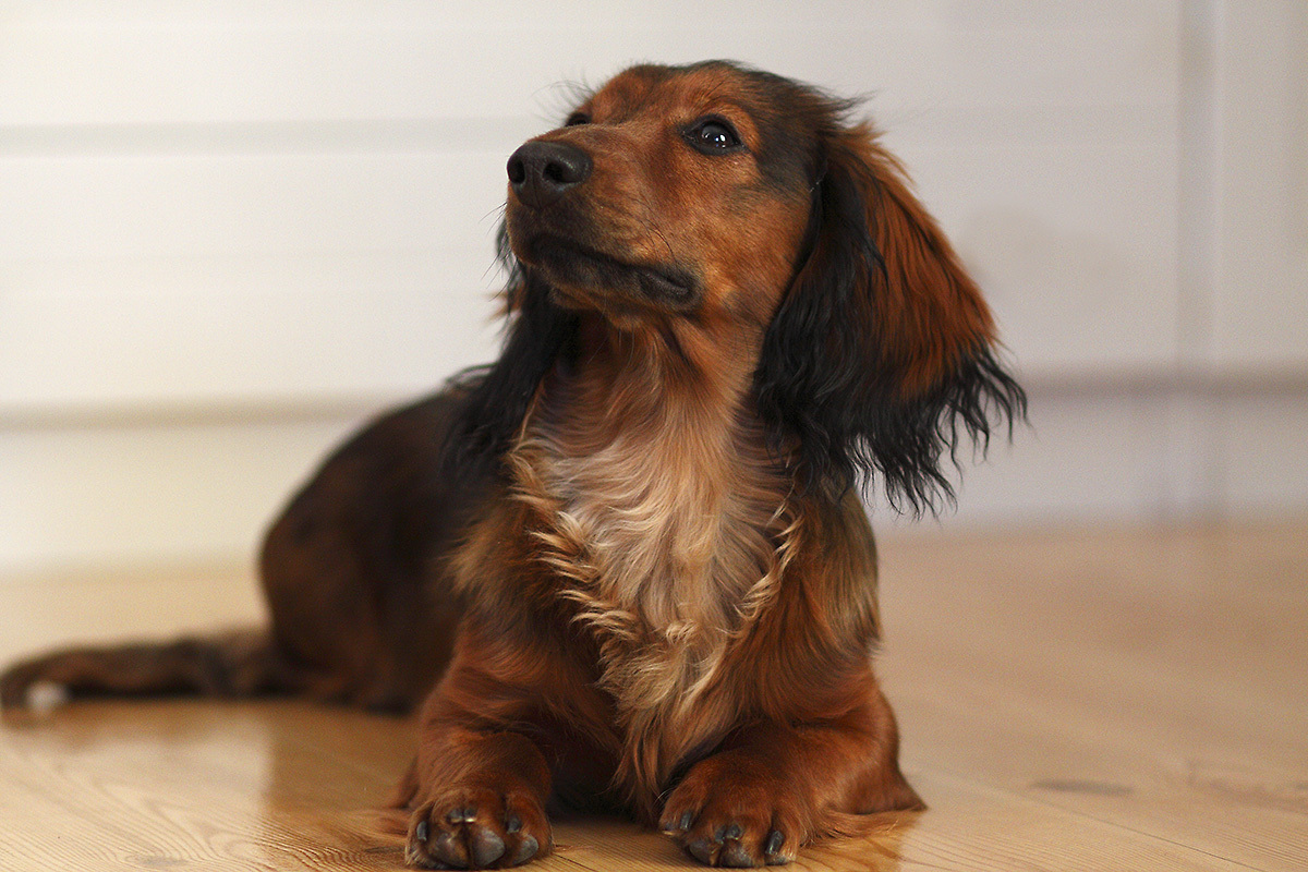 1047032_large_E77697DA-031C-11E6-BDA9-E1