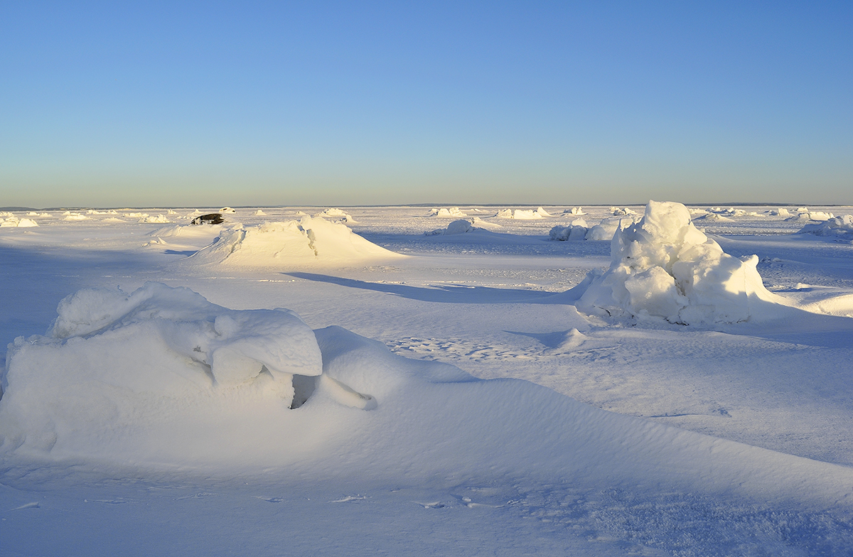 1048153_large_8F8B764A-1135-11E6-AEEC-D7