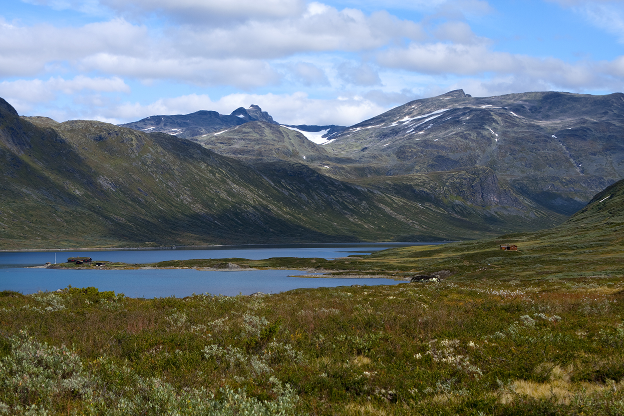 1049870_large_A4C8B0AE-2995-11E6-A497-F4