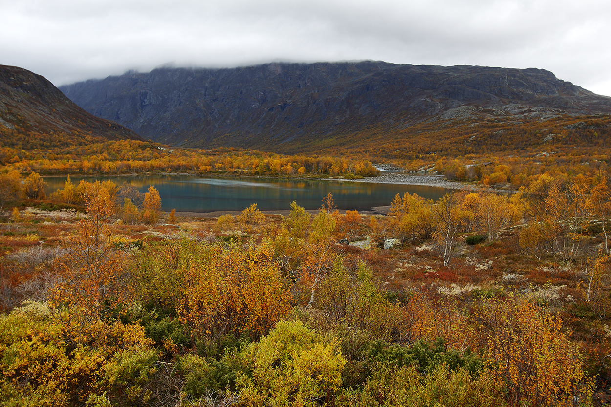 1051055_large_E4F2B6FA-3A0E-11E6-B207-E8