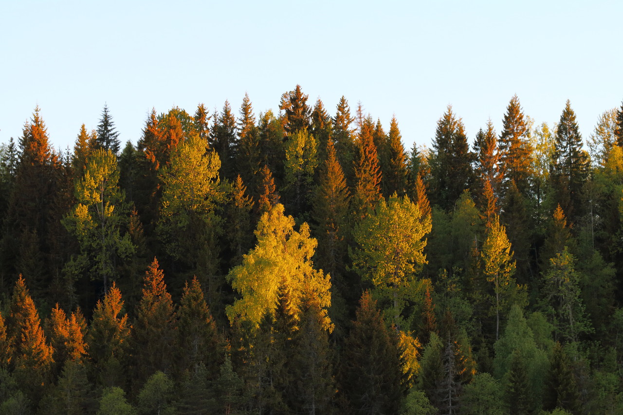 1053756_large_77D7FBDE-5E71-11E6-AB8C-D4