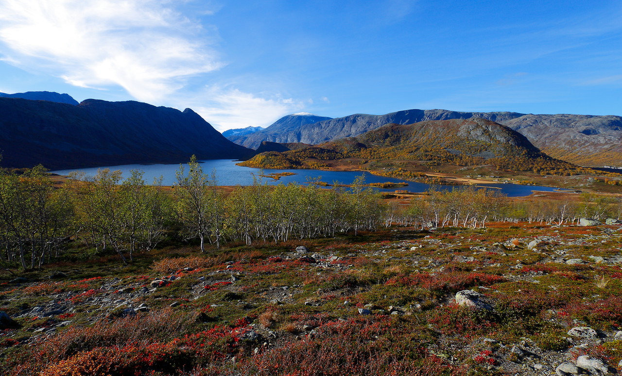 1061669_large_CED28B24-D26C-11E6-AB8D-15