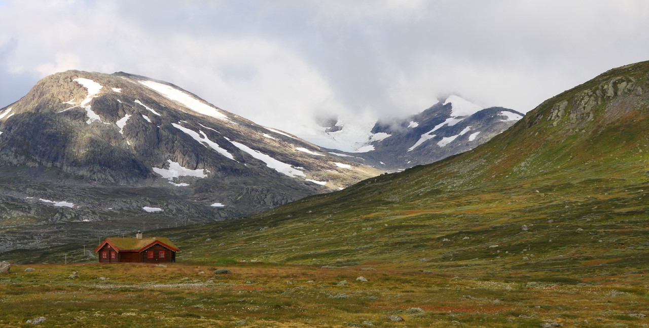 1065036_large_A332DFBE-FD2D-11E6-A5D4-25