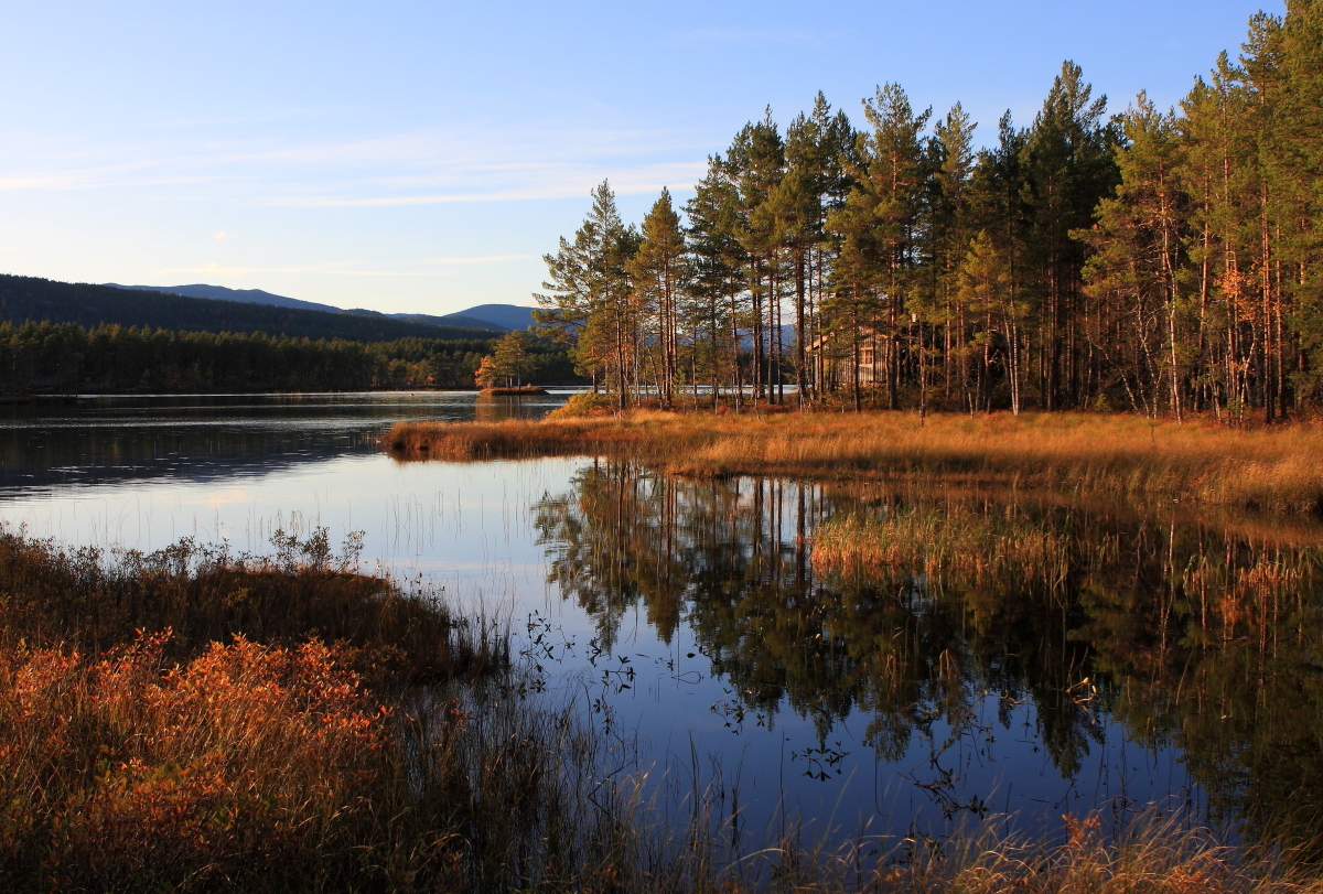 1065076_large_452B5A48-FDB1-11E6-8C1A-22