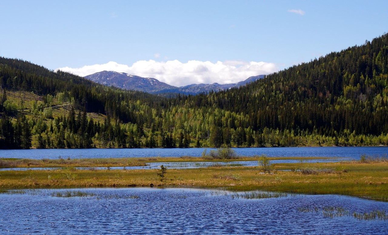 1067268_large_7836028A-244E-11E7-98BC-1E