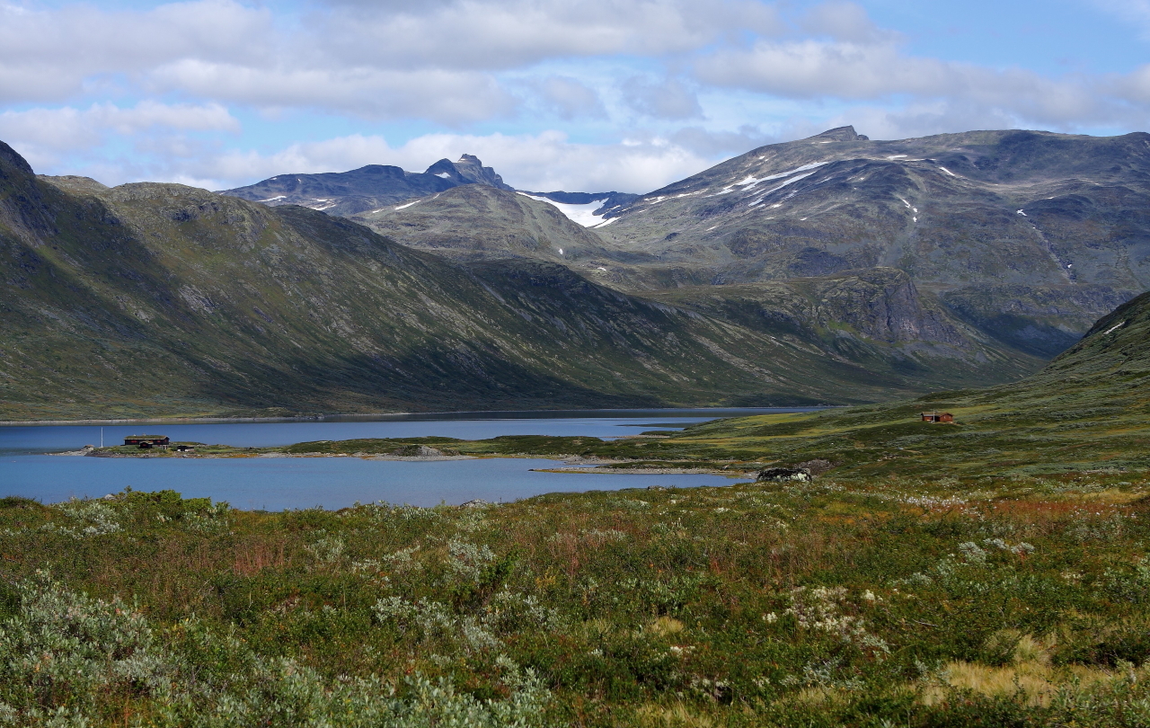 1067924_large_F72F627A-2D0E-11E7-B8FB-93