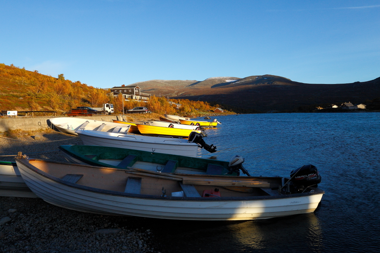 1068517_large_52C55020-35A9-11E7-B8A6-DD