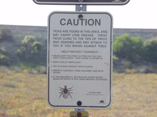 111101_LPL_DMLT_ticks_sign_horizontal_02