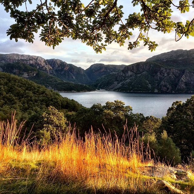 11917793_1040353822663768_1530087908_n.j