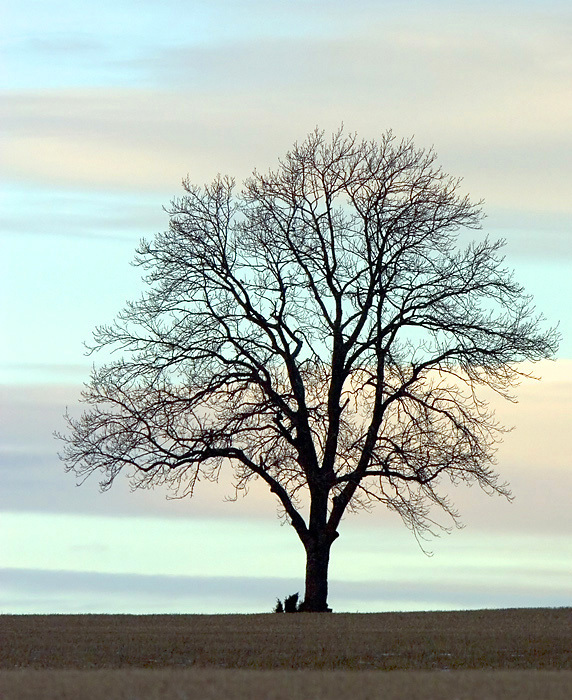 129996_large_6D75BB08-D067-11E3-B8A4-EA0