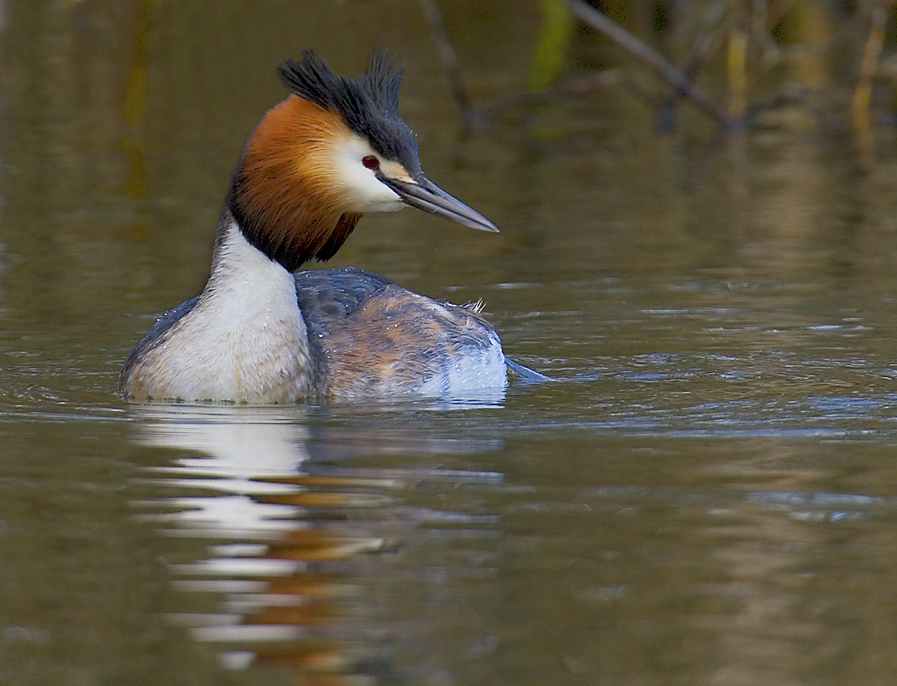 139487_large_B806B3DC-D064-11E3-B8A4-EA0