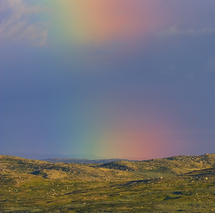 148697_large_4387B5B0-D02D-11E3-8020-35D