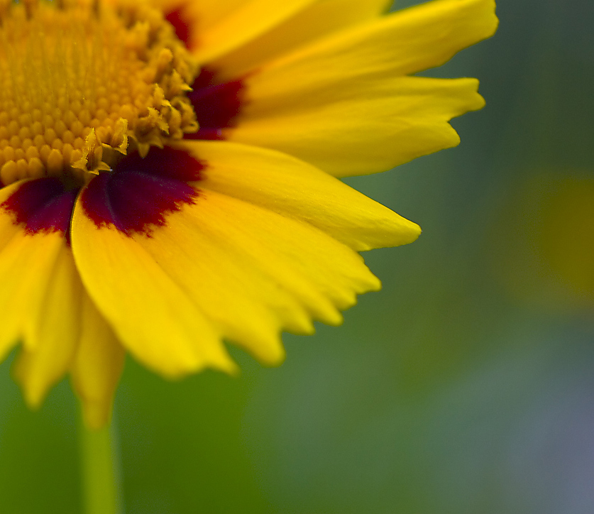 155901_large_6E391698-D02B-11E3-8020-35D