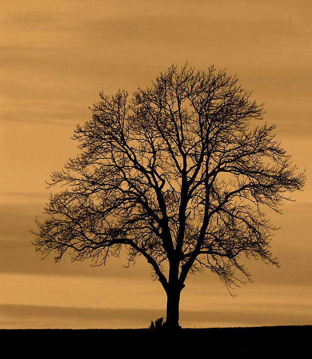 155934_large_6BACFCBE-D02B-11E3-8020-35D