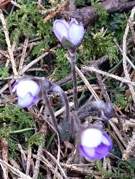 1652a830-579c-43bd-82b9-419997fa92e6_zps