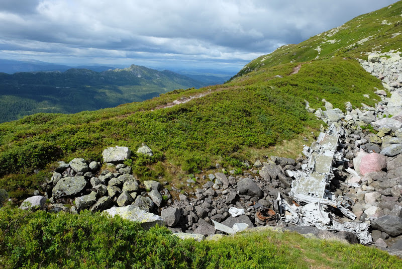 170717_02_Wing_from_planecrash_Goeysen.j