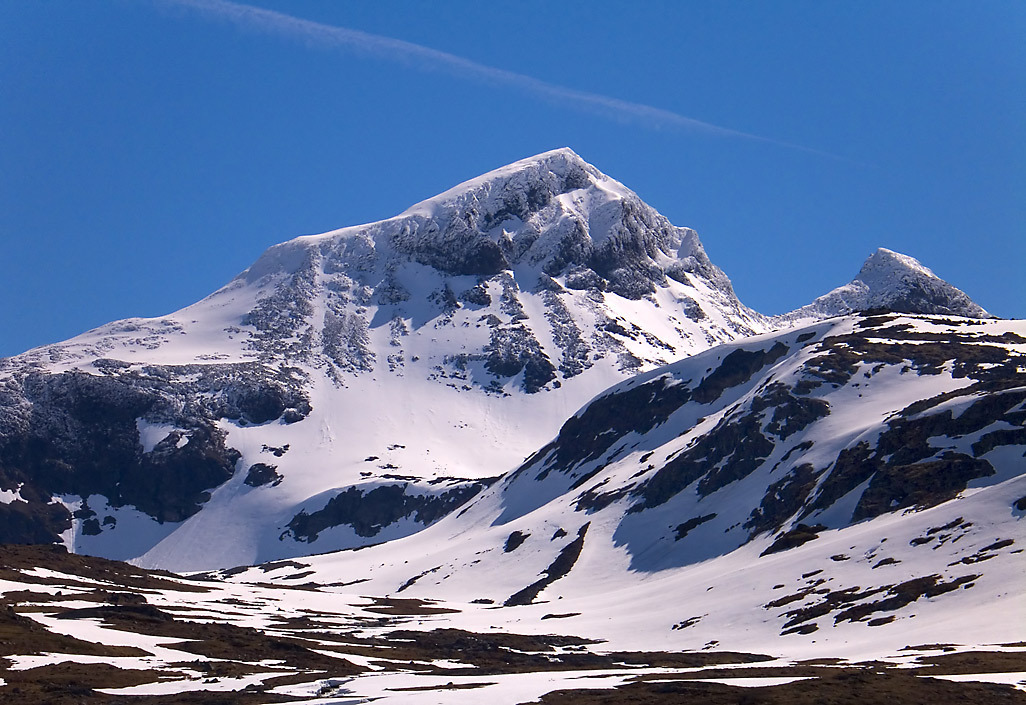 175735_large_3C07A784-D026-11E3-8020-35D