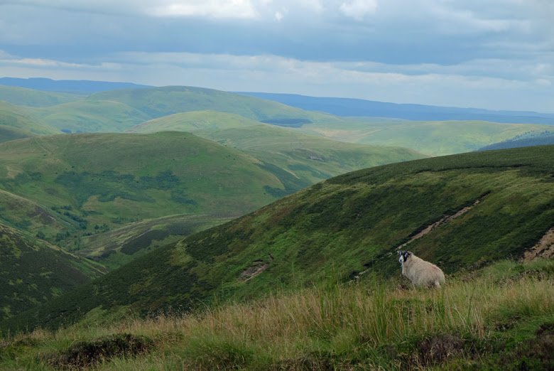 WRnvGhL5JswkiZtVaoWA88oEMmE-1mJcWi-tDWle