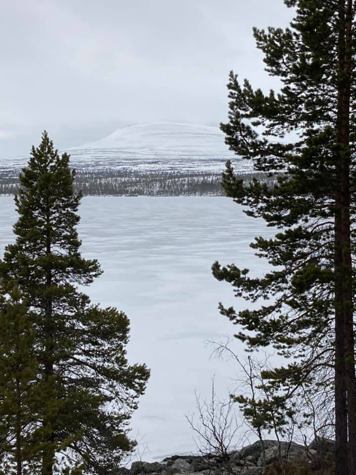 97928044_10158788513029434_5349044745379