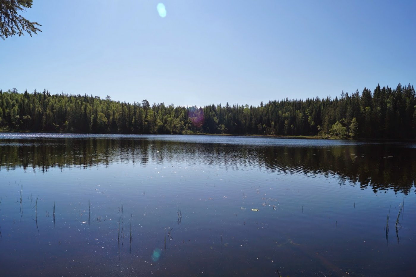 Jotunheimstien%252C+del+1+%252831%2529.J