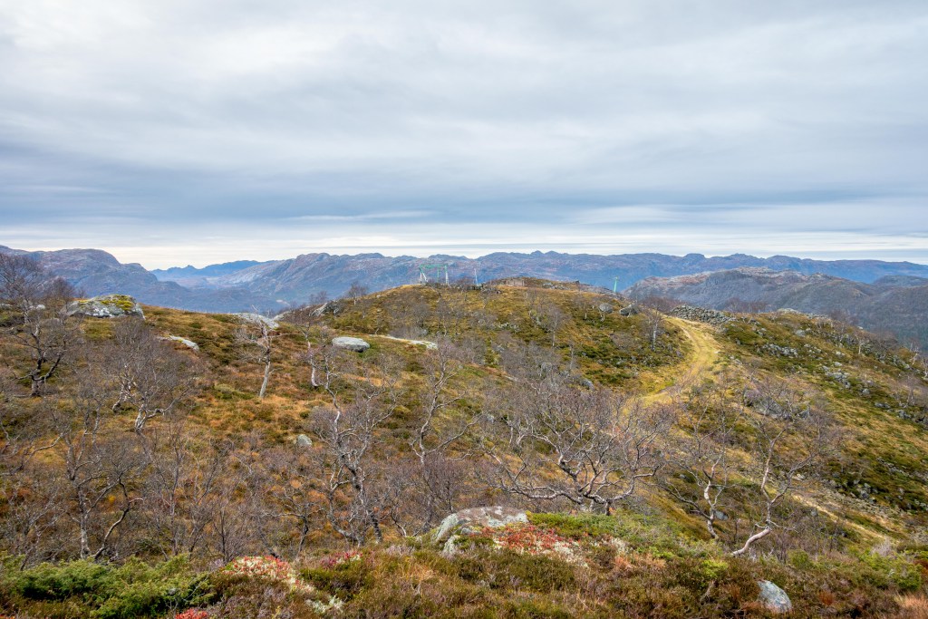 Vallresknuten01.jpg?resize=1024,683