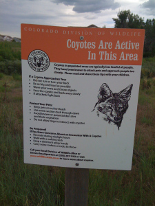 coyote-warning-sign.jpg?w=225&h=300