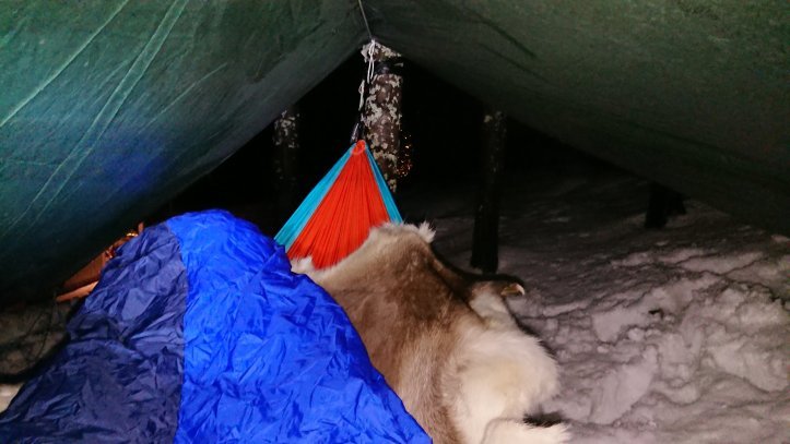 dsc_16026814347707983685154.jpg?w=723