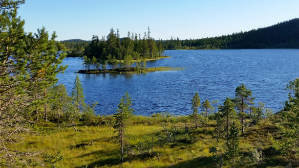 20150813_190217.jpg?w=584