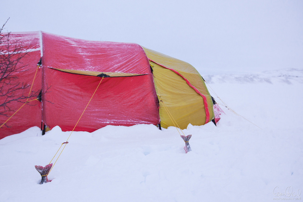 Arctic tent pegs