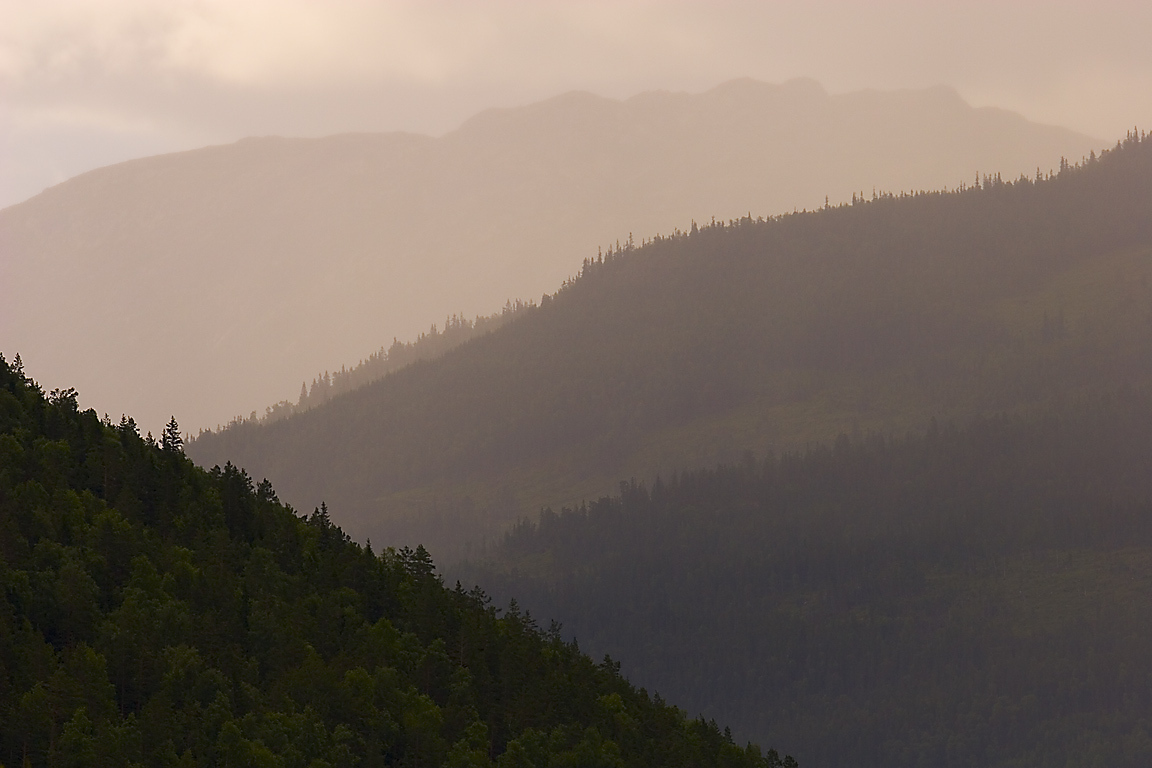 248247_large_4F9AEC6C-A979-11E3-A2C0-4D1