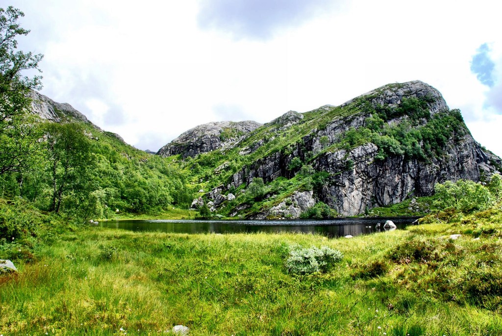 IMG_1546.jpg?resize=1024%2C685