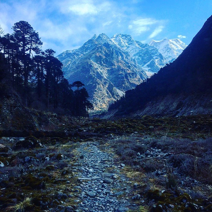 30730005_2041971139178887_33843145714591