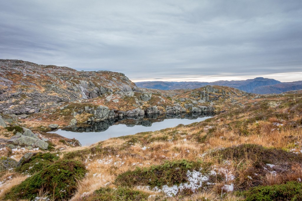 Vallresknuten05.jpg?resize=1024,683