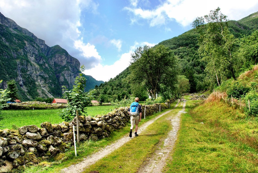 IMG_1537.jpg?resize=1024%2C685