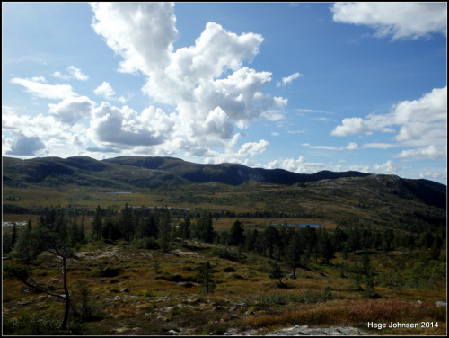 1-dc3a5apma-001.jpg?w=500&h=376